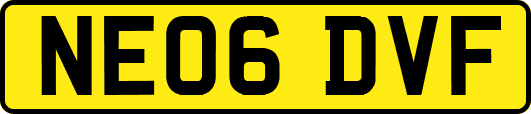 NE06DVF