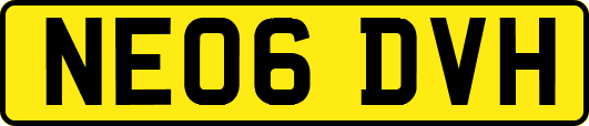 NE06DVH