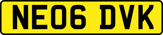 NE06DVK