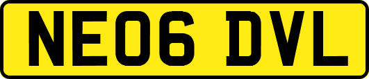 NE06DVL