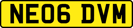 NE06DVM