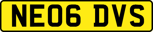 NE06DVS