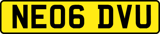 NE06DVU