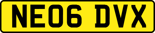 NE06DVX