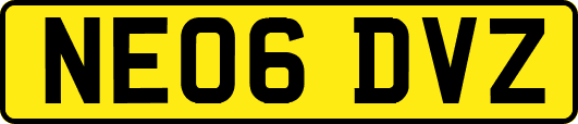 NE06DVZ