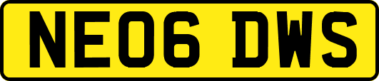 NE06DWS