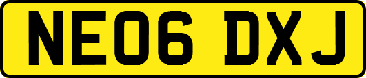 NE06DXJ