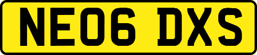 NE06DXS