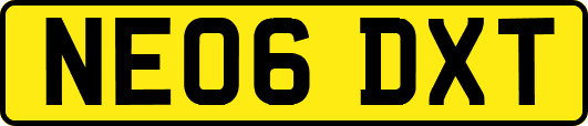 NE06DXT