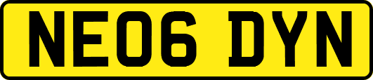 NE06DYN