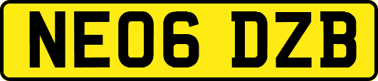 NE06DZB
