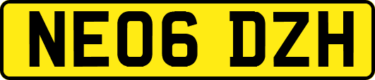 NE06DZH