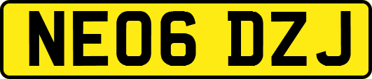 NE06DZJ