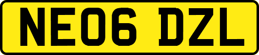 NE06DZL
