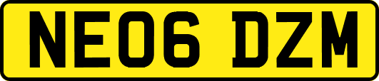 NE06DZM