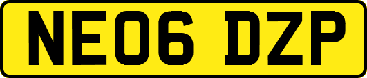 NE06DZP