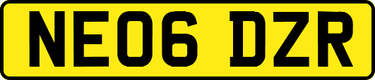 NE06DZR