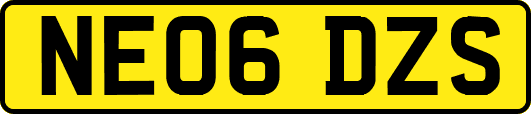 NE06DZS