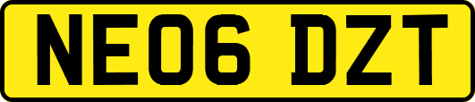 NE06DZT