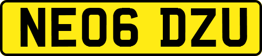 NE06DZU