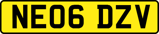 NE06DZV