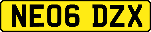 NE06DZX