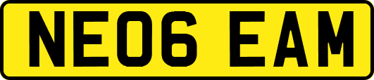 NE06EAM
