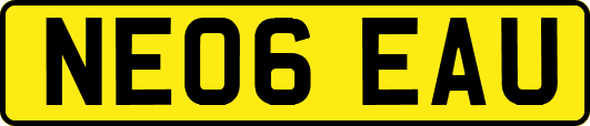 NE06EAU