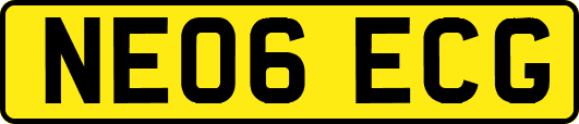 NE06ECG