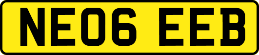 NE06EEB