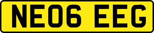 NE06EEG