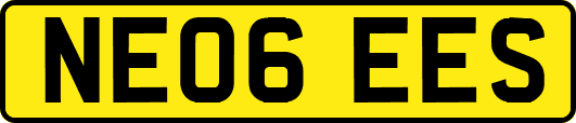 NE06EES