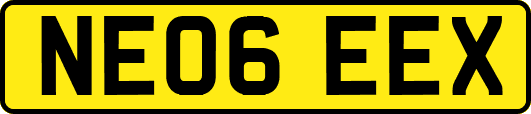 NE06EEX