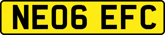NE06EFC