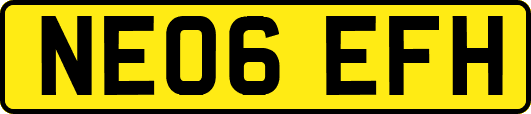 NE06EFH