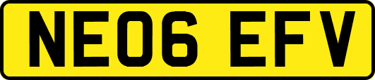NE06EFV