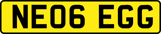 NE06EGG