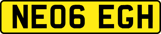 NE06EGH