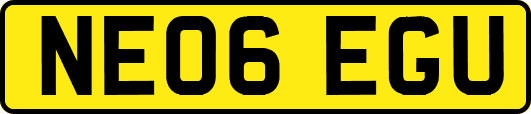 NE06EGU