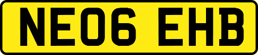 NE06EHB