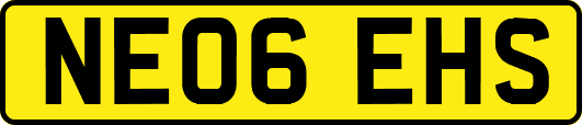 NE06EHS