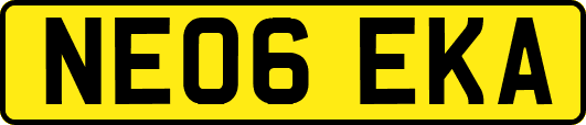 NE06EKA