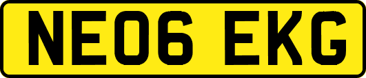 NE06EKG