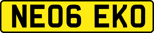 NE06EKO