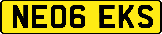 NE06EKS