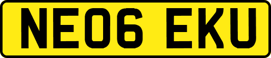 NE06EKU
