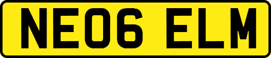 NE06ELM