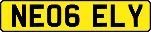 NE06ELY
