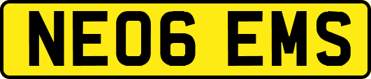 NE06EMS