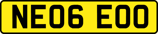NE06EOO